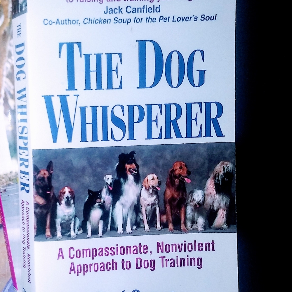 🐶Like NEW! The Dog Whisperer Book 🐶